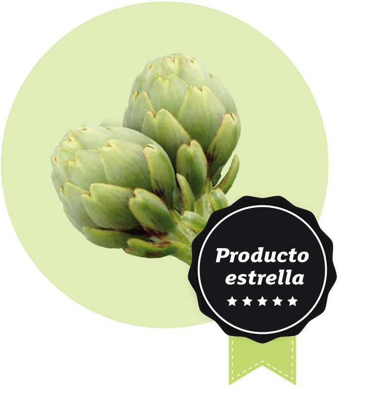 Planta de alcachofa